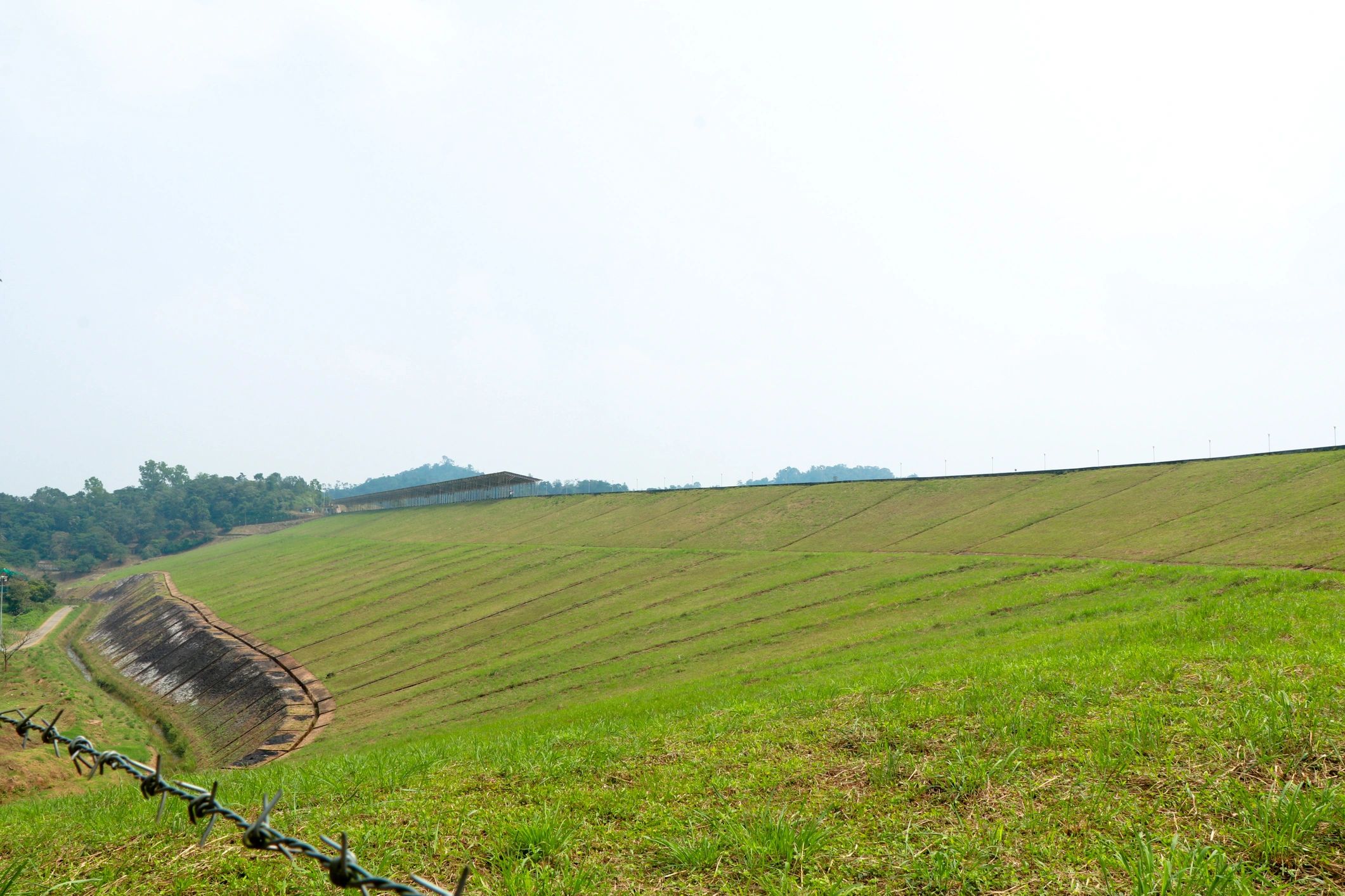 Green agricultural landscape representing circular farming potential