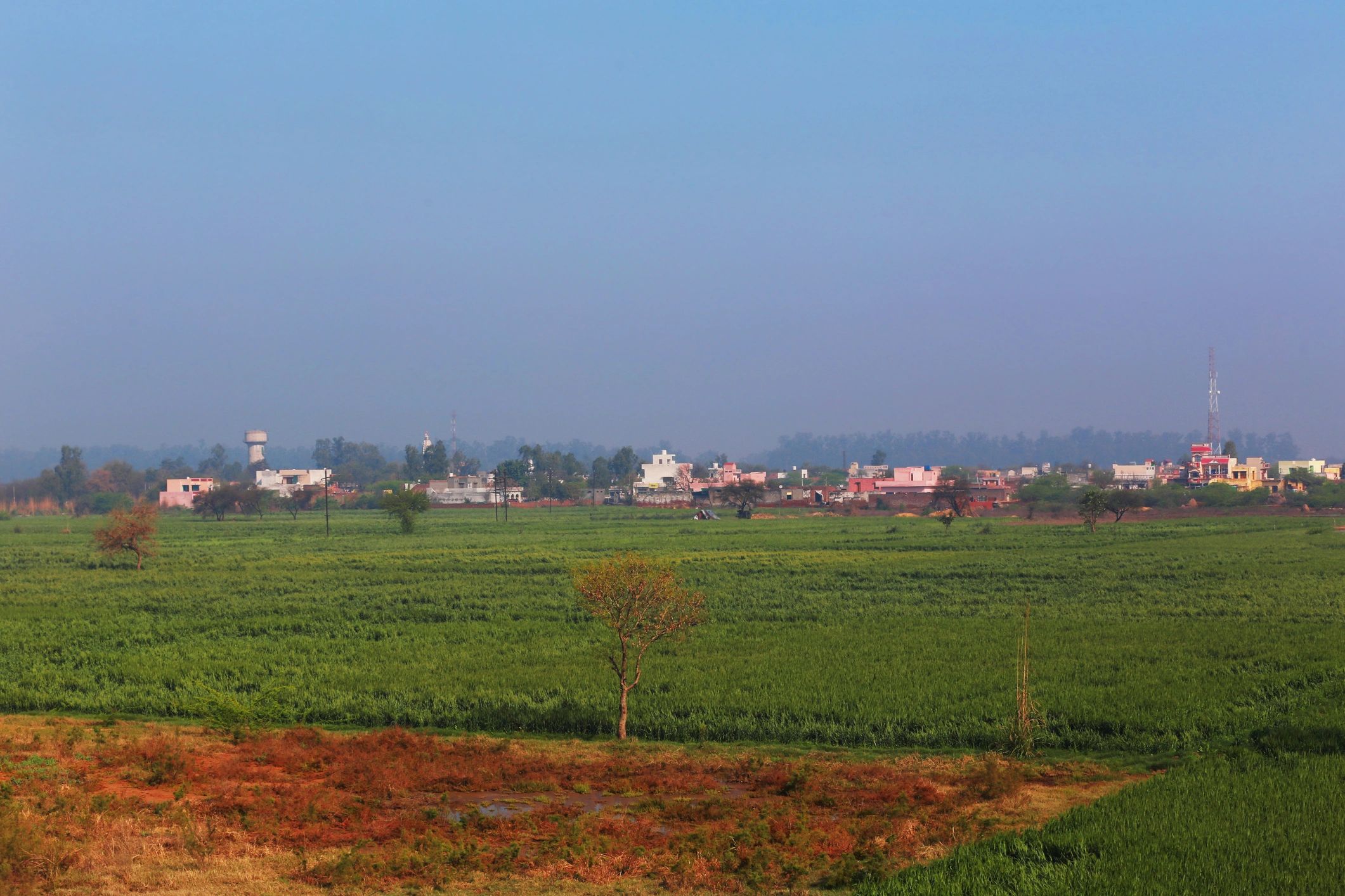 Rural landscape representing local agricultural processing