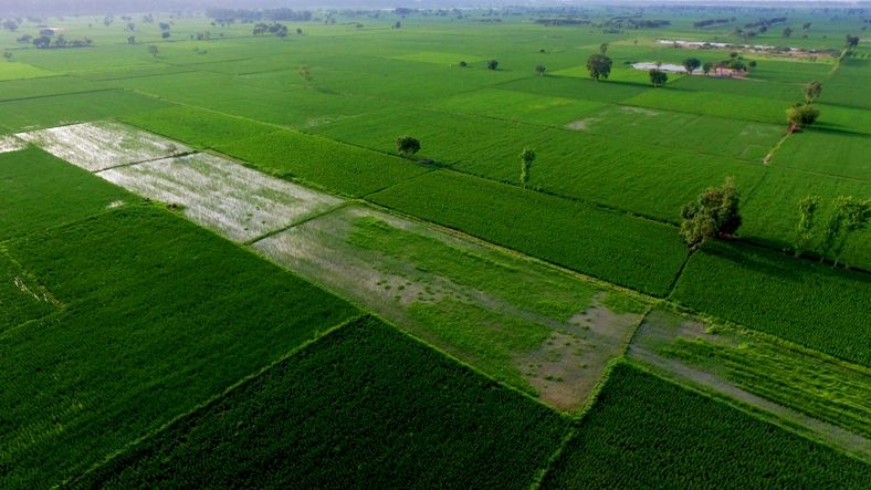 Farm landscape representing cold storage and supply chain planning